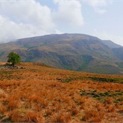 Nigeria: Chappal Waddi (7,936 Ft)