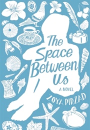 The Space Between Us (Zoya Pirzad)