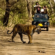 Jim Corbett National Park