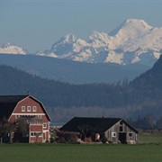 Burlington, Washington