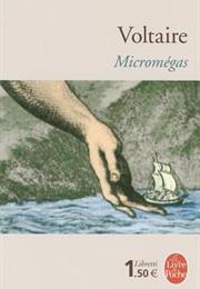 Micromégas
