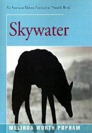 Skywater (Melinda Worth Popham)