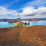 Reach the Summit of Bartholomew Island and See the Pinnacle Rock