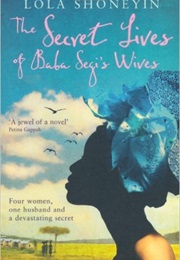 The Secret Lives of Baba Segi's Wives (Lola Shoneyin)