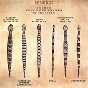 Identify Poisonous Snakes