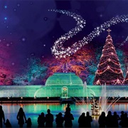 Xmas at Kew