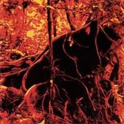 Bondage Fruit - Bondage Fruit II