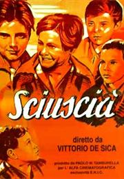 Shoeshine (Vittorio De Sica)