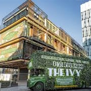 The Ivy