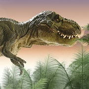 Tyrannosaurus