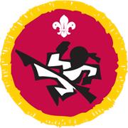 Martial Arts Activity Badge