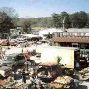 Collinsville, Alabama