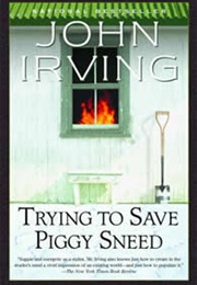 Trying to Save Piggy Sneed (John Irving)