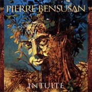 Pierre Bensusan - Intuite
