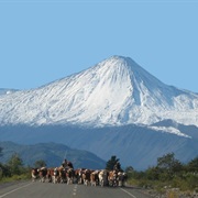 Antuco Volcano, Chile