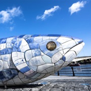 The Big Fish Belfast