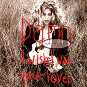 Sophie B.Hawkins - Damn! I Wish I Was Your Lover