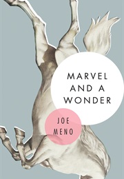 Marvel and a Wonder (Joe Meno)