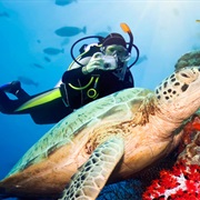 Scuba Dive, Islands of Thailand