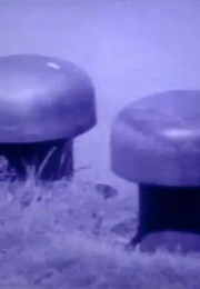 Steel Mushrooms (1968)
