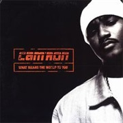 What Means the World to You - Cam'ron