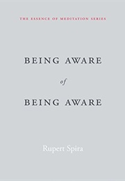 Being Aware of Being Aware (Rupert Spira)
