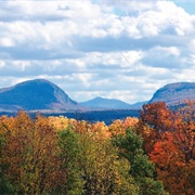 Willoughby State Forest, Vermont