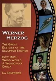 The Great Ecstasy of Woodcarver Steiner