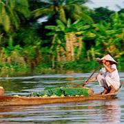 The Mekong Delta, Vietnam
