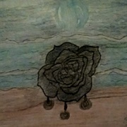 Floating Rose Meagan Scribner