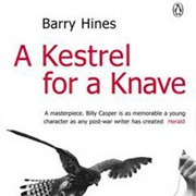 A Kestrel for a Knave