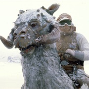 Tauntaun