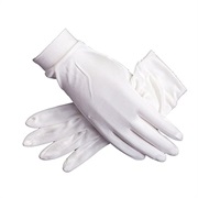 Silk Gloves