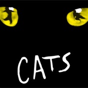 The Rum Tum Tugger (Cats the Musical)