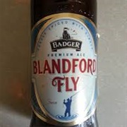 Blandford Fly