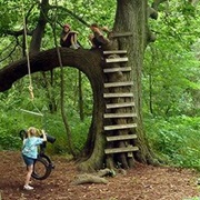 Simple Wooden Ladder