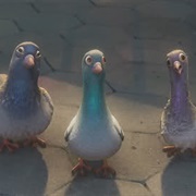 Pigeons