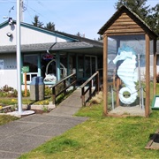 Coastal Interpretive Center (Ocean Shores, Washington)
