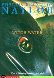 Witch Water by Phyllis Reynolds Naylor