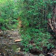 Mudlo National Park (QLD)