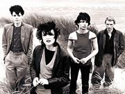 Siouxsie Sioux & the Banshees