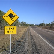 The Bruce Highway