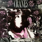 Cranes- Self/Non-Self
