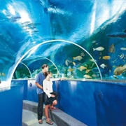 Blue Reef Aquarium Tynemouth