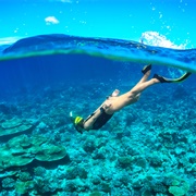 Diving & Snorkelling in the Seychelles