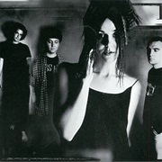 Cranes- Population 4