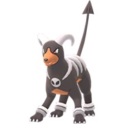 Houndoom