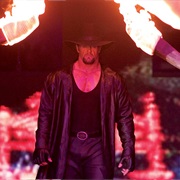 The Undertaker vs. Kane,Wrestlemania XX