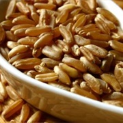 Khorasan Wheat