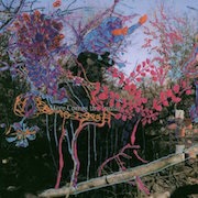 Animal Collective - Here Comes the Indian